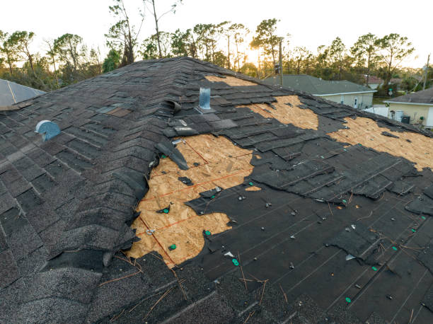 Best Rubber Roofing (EPDM, TPO)  in Ottawa, IL