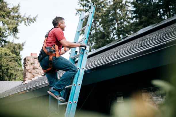 Best Roof Coating and Sealing  in Ottawa, IL
