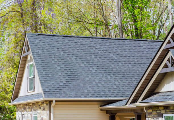 Best Gutter Installation and Repair  in Ottawa, IL
