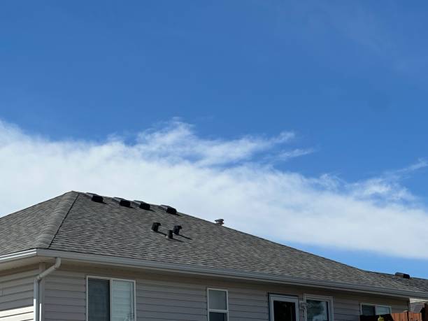 Best Green or Eco-Friendly Roofing Solutions  in Ottawa, IL